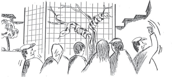 La population devant la cage aux boas